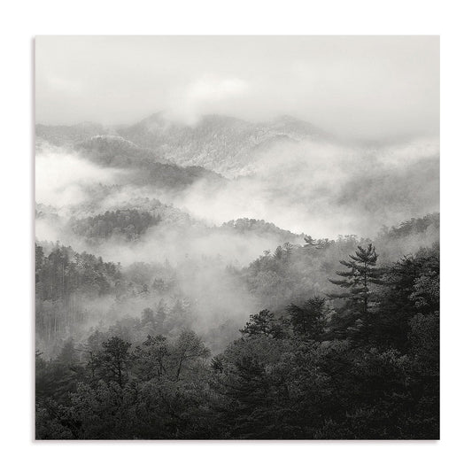 Spring Mist, Smoky Mountains