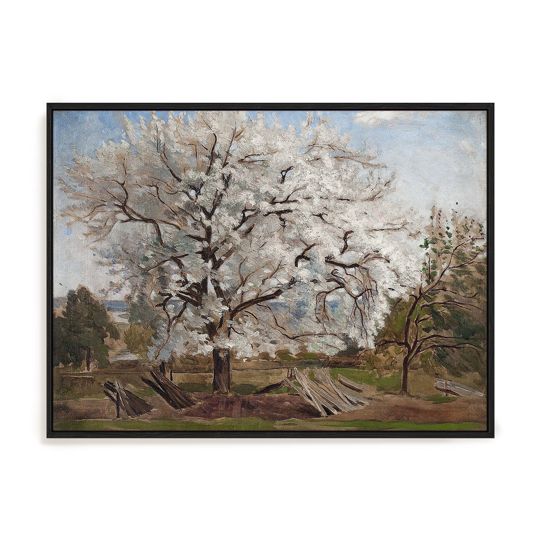 Apple Tree in Blossom, 1877