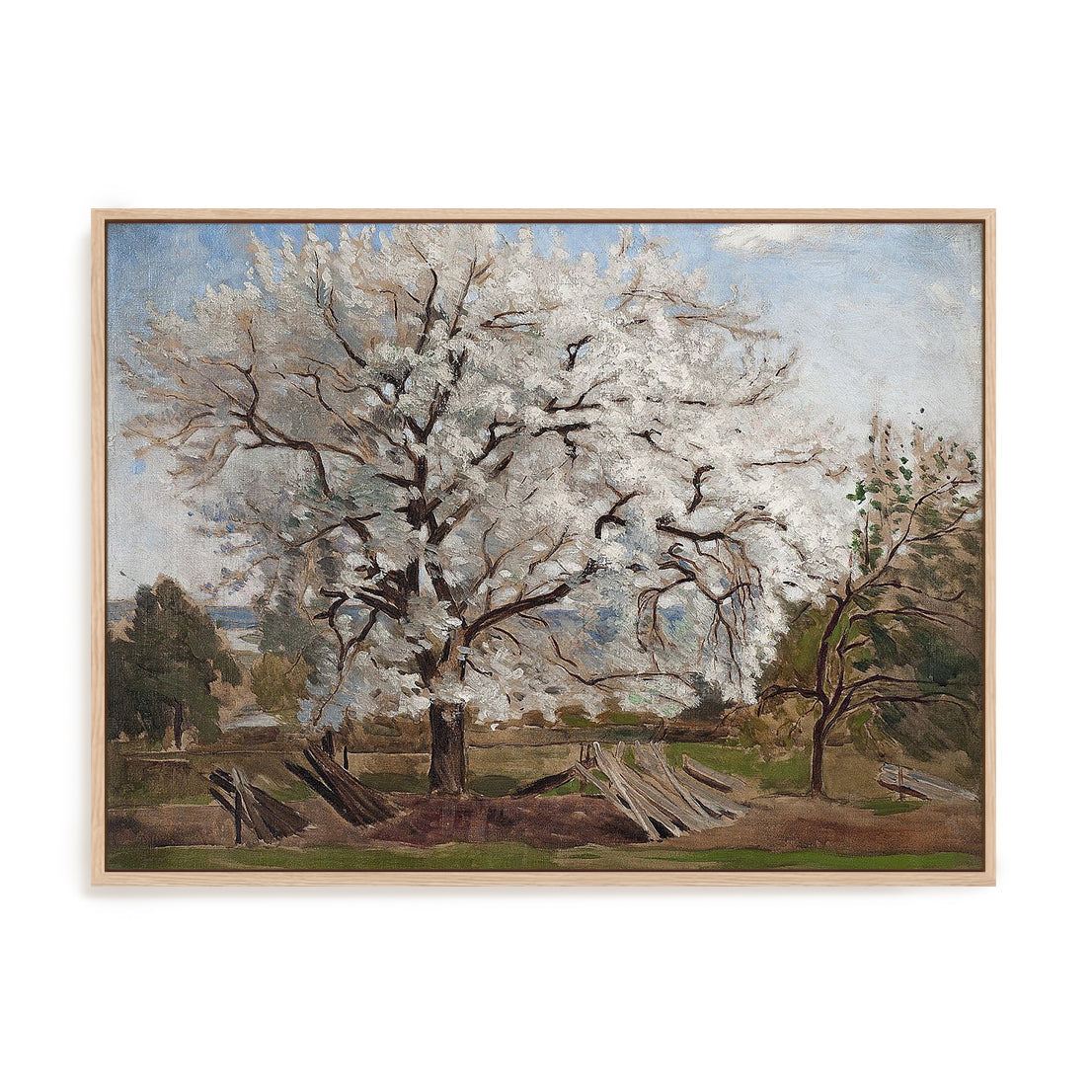 Apple Tree in Blossom, 1877