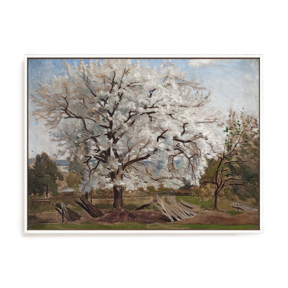 Apple Tree in Blossom, 1877