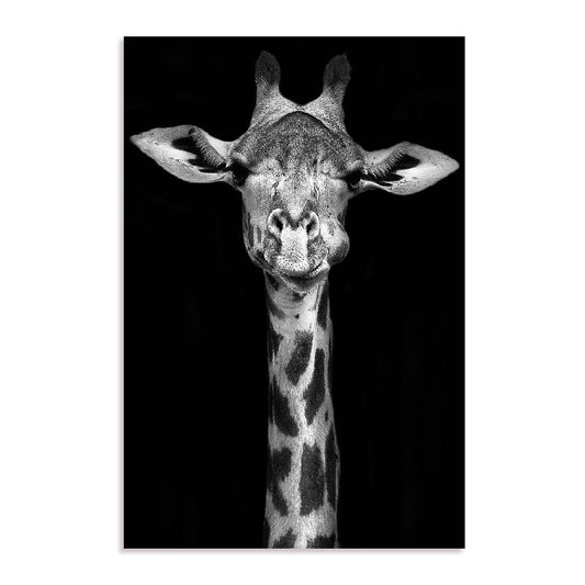 Giraffe Wall Art