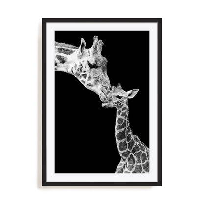 First Love - Giraffe Wall Art