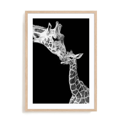 First Love - Giraffe Wall Art