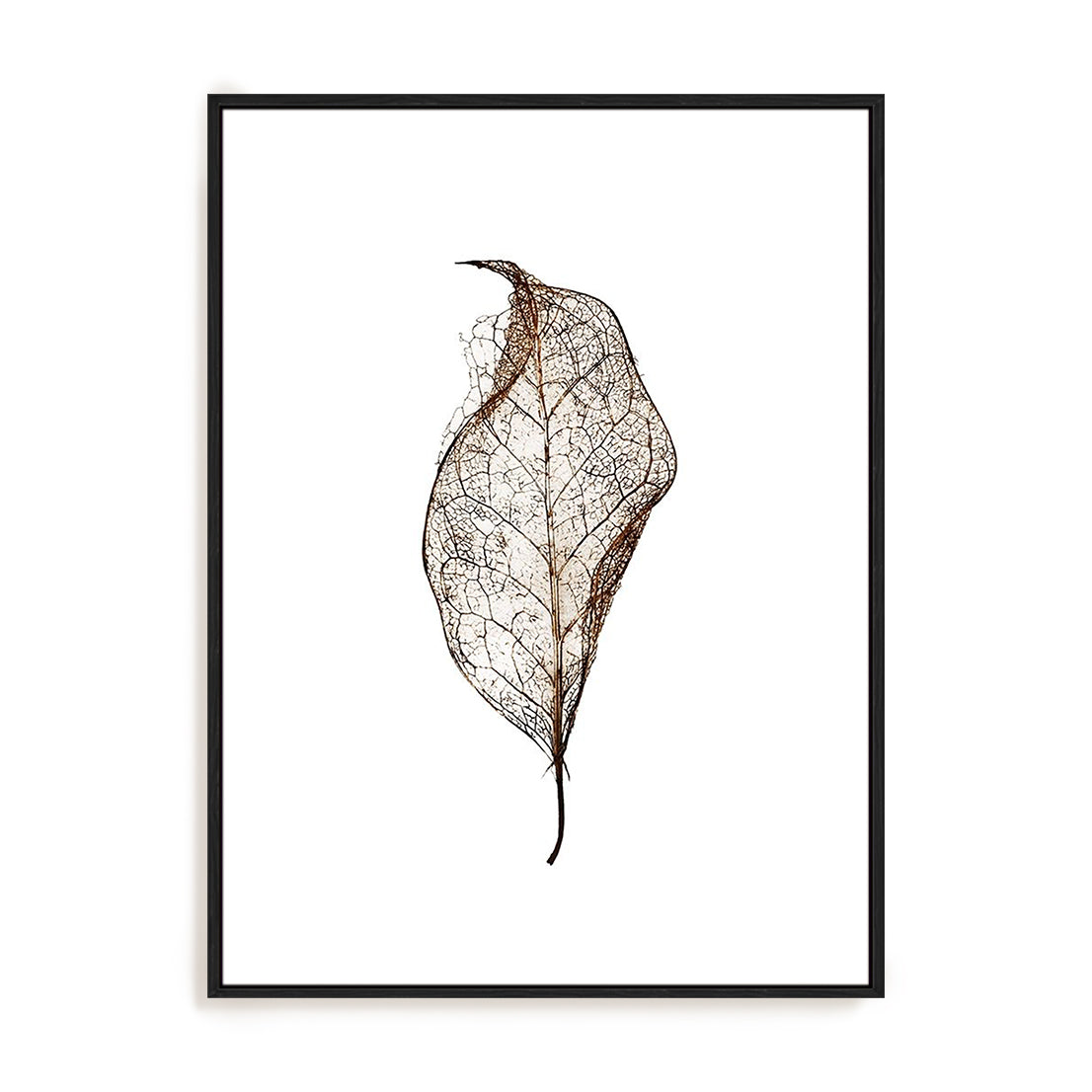 Leaf