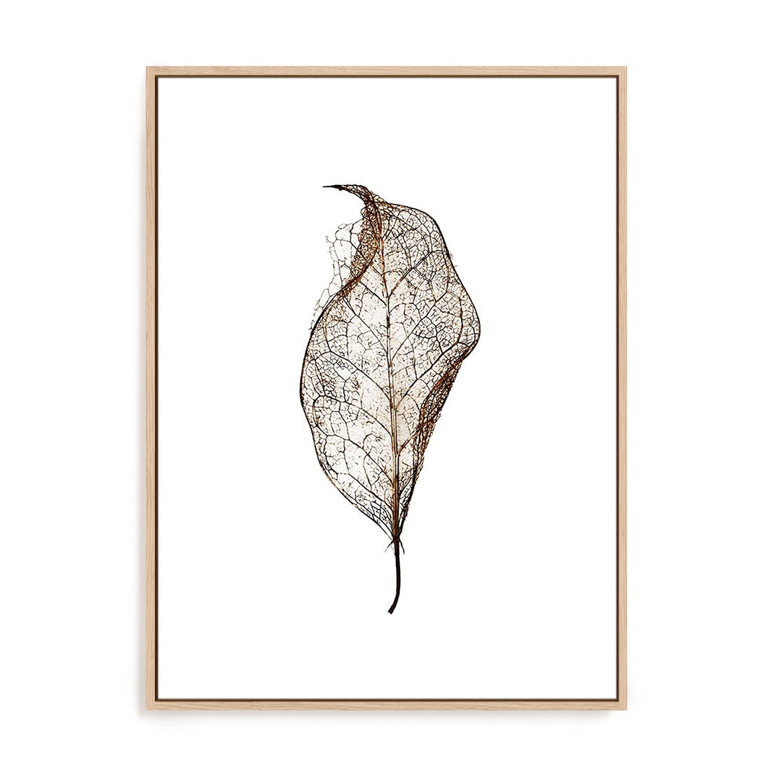 Leaf