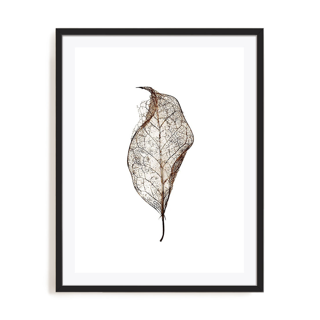 Leaf