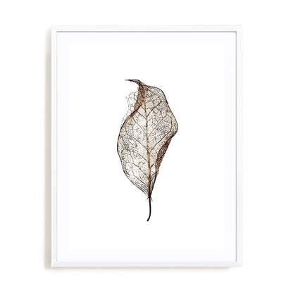 Leaf