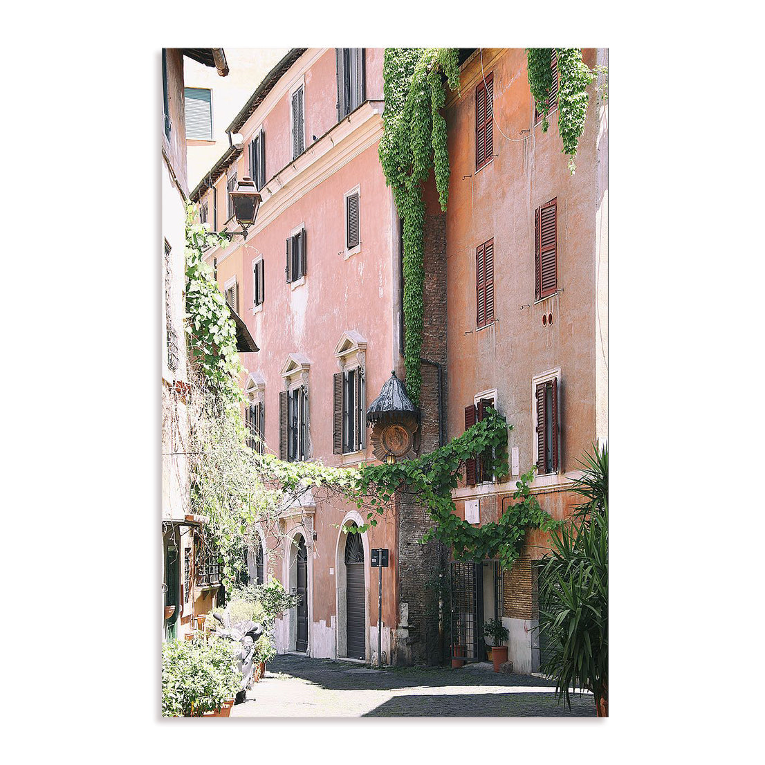 Pink Buildings in Rome