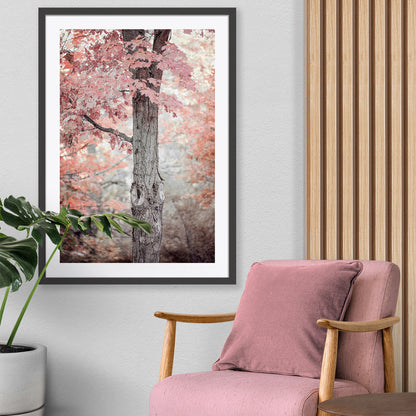 Pink and Coral Maple Tree