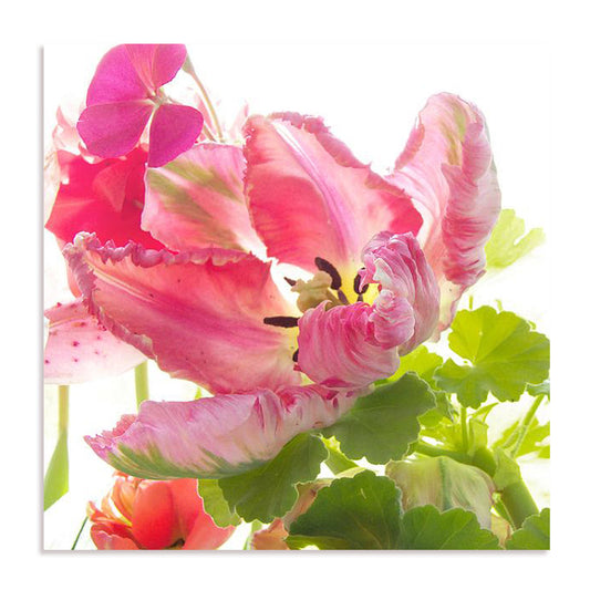 Parrot Tulip One Wall Art