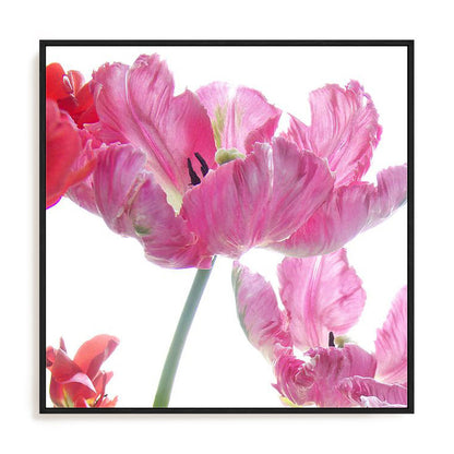 Parrot Tulips Wall Art