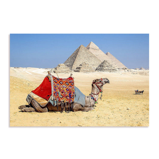 Camel Resting by the Pyramids Wall Art