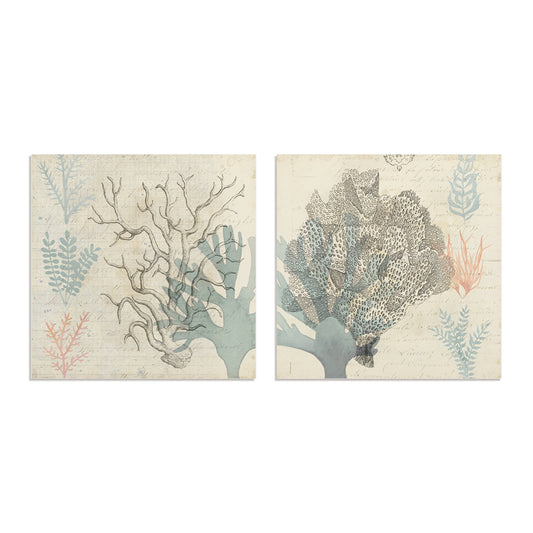 Sea Ephemera III and II Wall Art