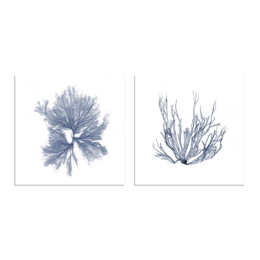 Navy Seaweed IV and III Wall Art