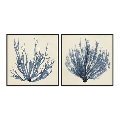 Coastal Seaweed I and III Wall Art