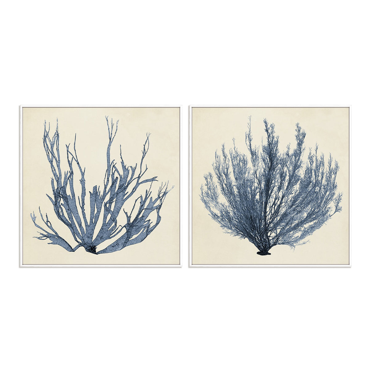 Coastal Seaweed I and III Wall Art