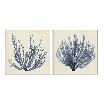 Coastal Seaweed I and III Wall Art