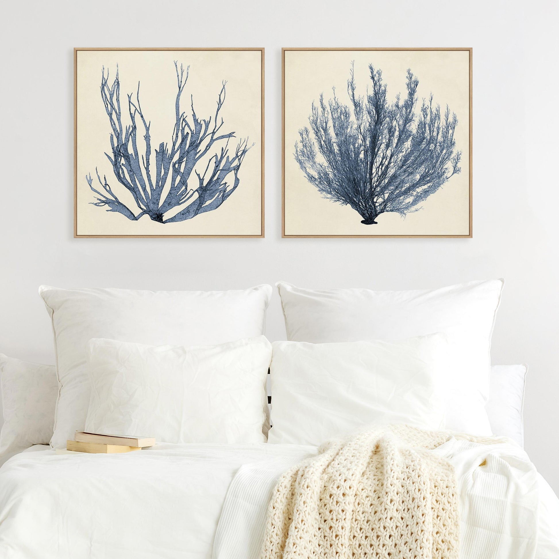 Coastal Seaweed I and III Wall Art