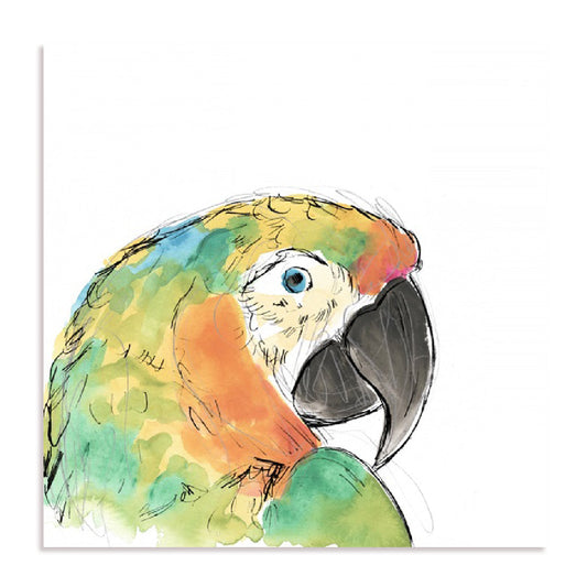 Tropical Bird Portrait IV Wall Art