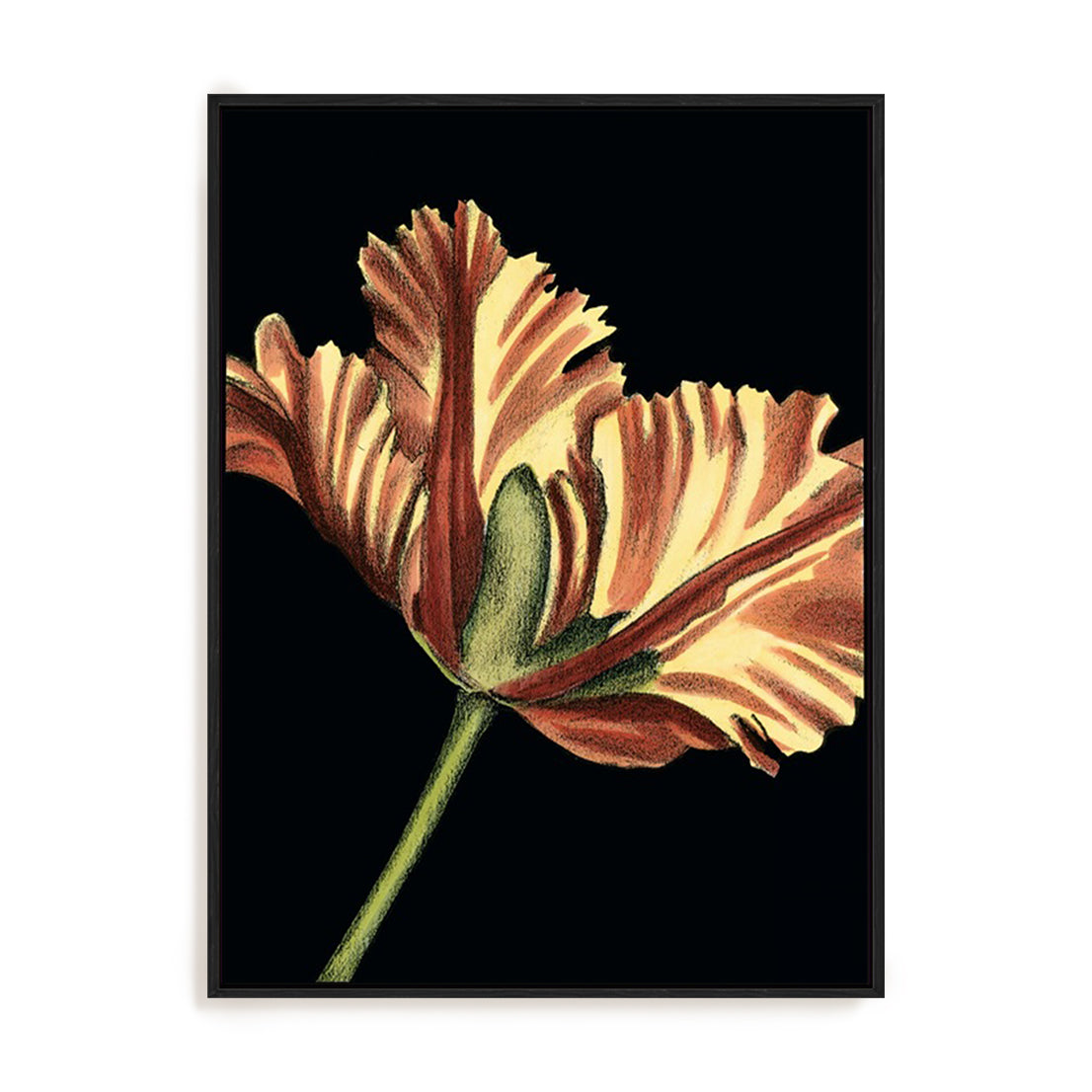 Vibrant Tulips I Wall Art