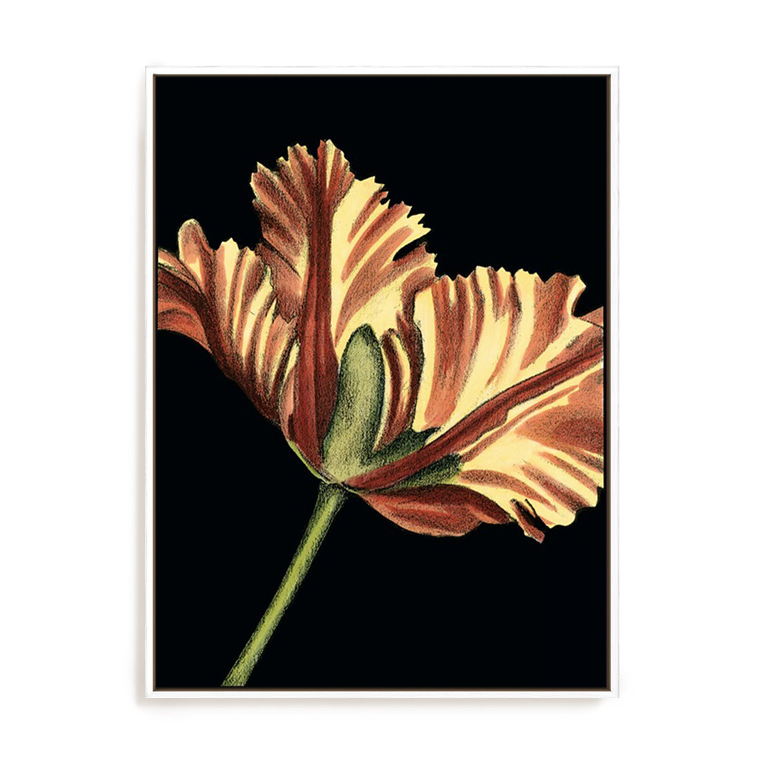 Vibrant Tulips I Wall Art