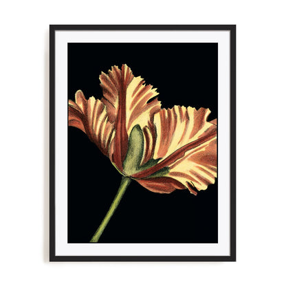 Vibrant Tulips I Wall Art