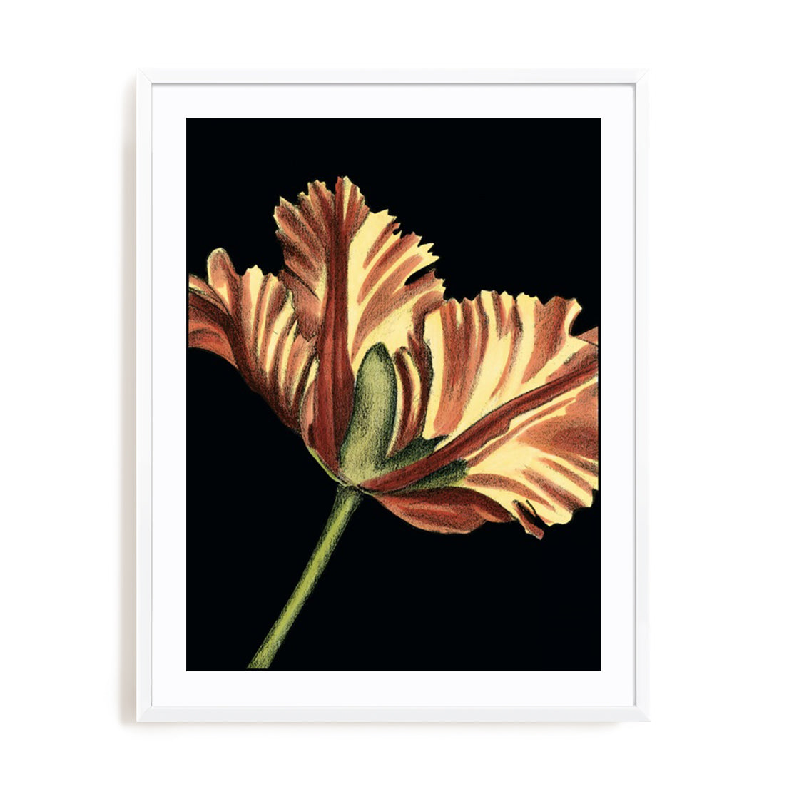 Vibrant Tulips I Wall Art