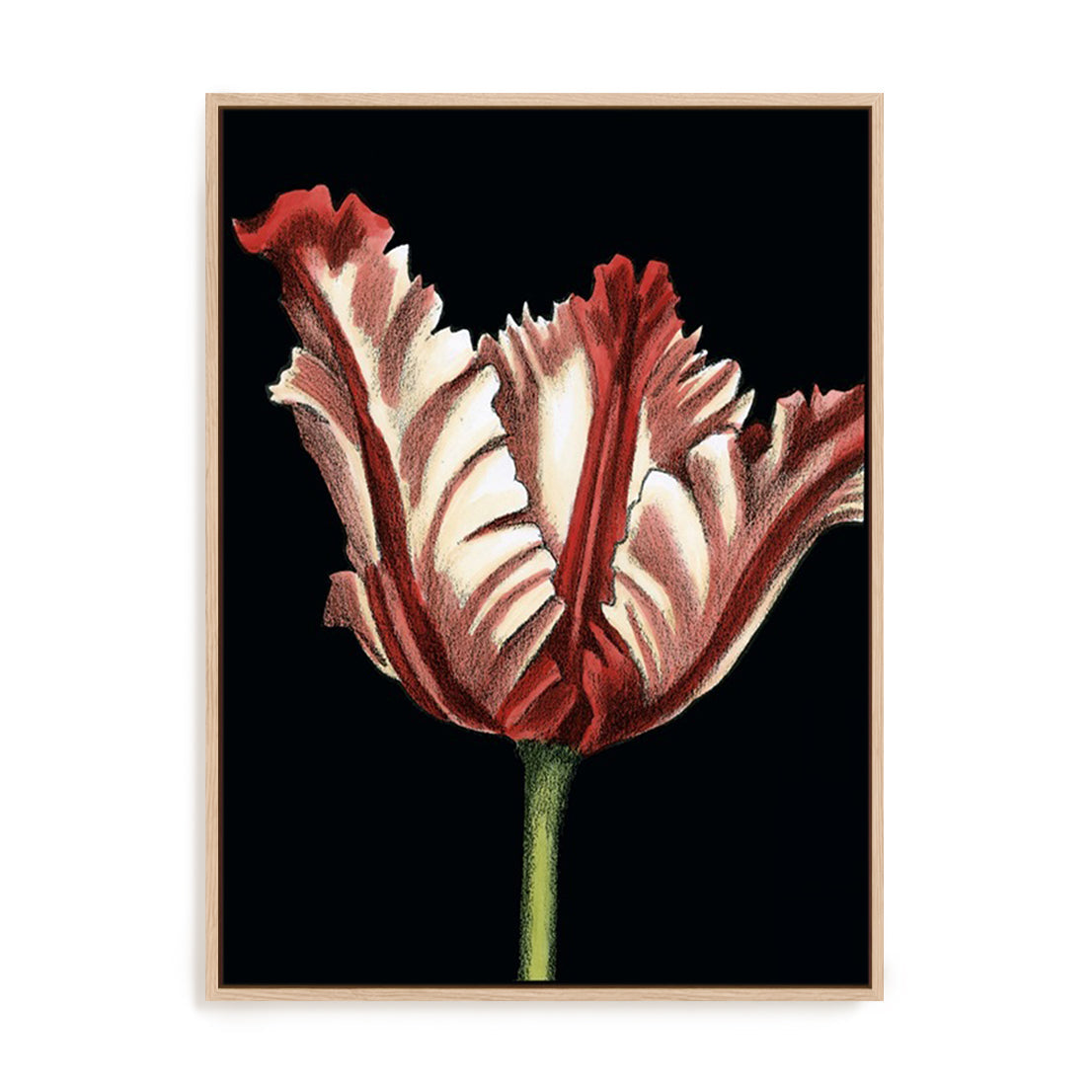 Vibrant Tulips II Wall Art