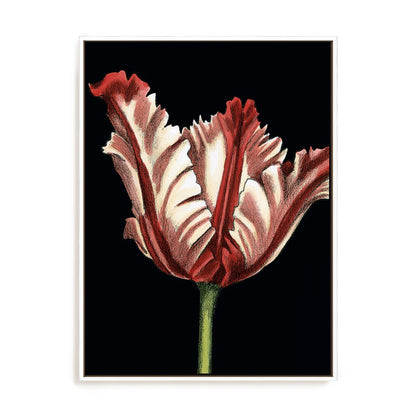 Vibrant Tulips II Wall Art