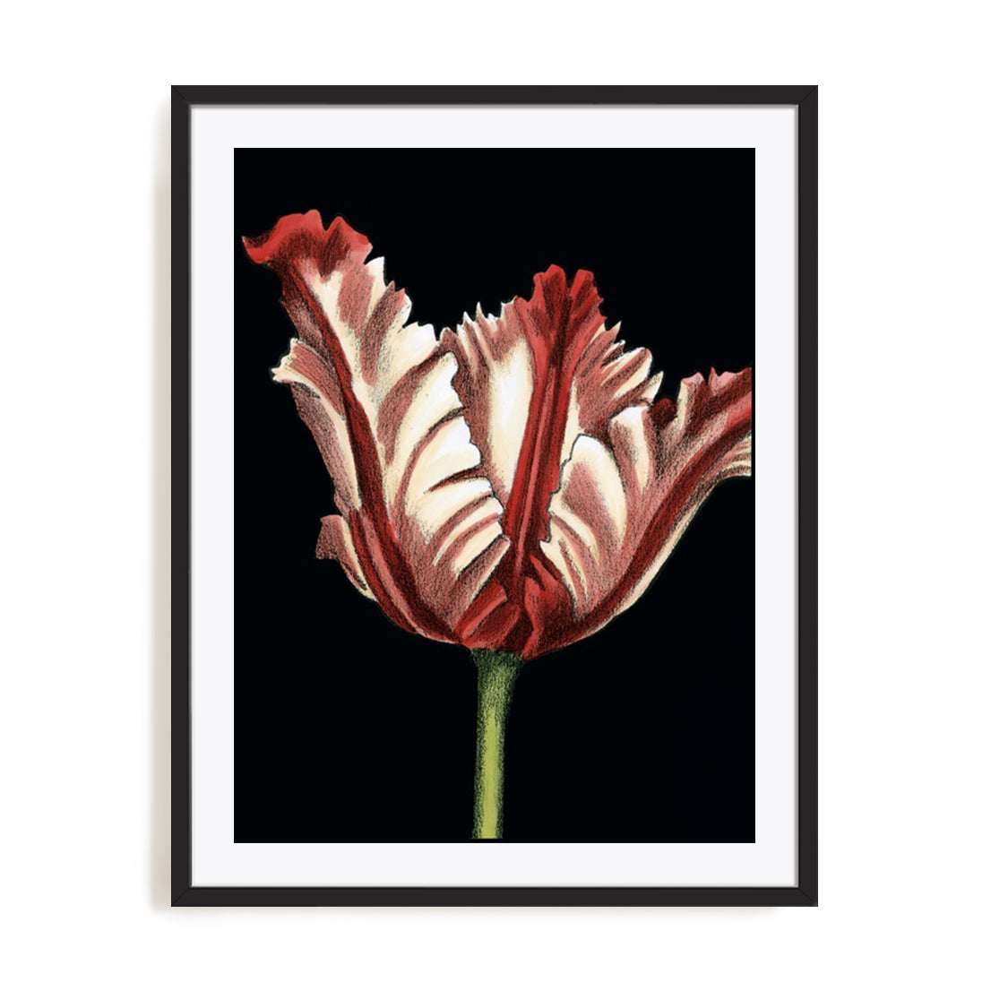 Vibrant Tulips II Wall Art