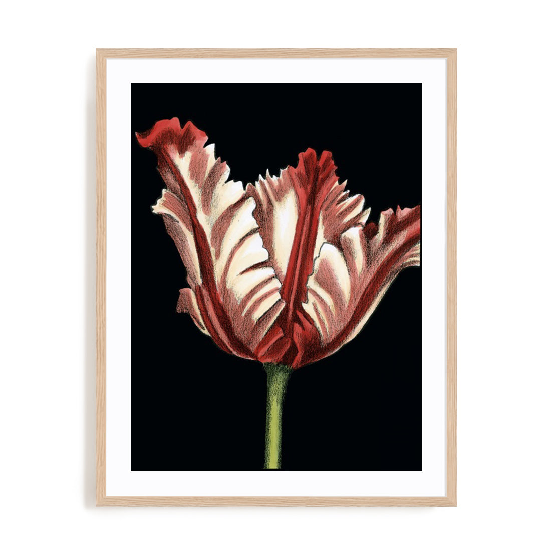 Vibrant Tulips II Wall Art