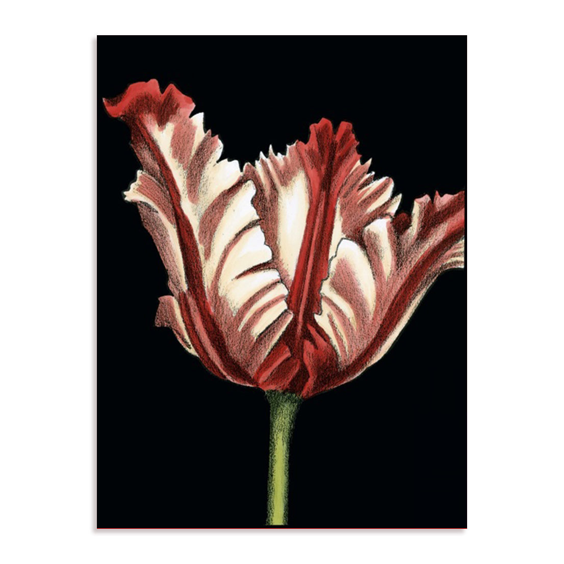 Vibrant Tulips II Wall Art