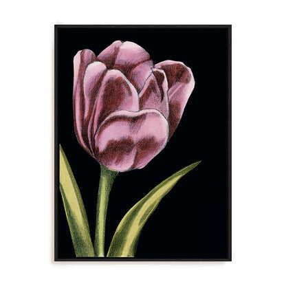 Vibrant Tulips III Wall Art