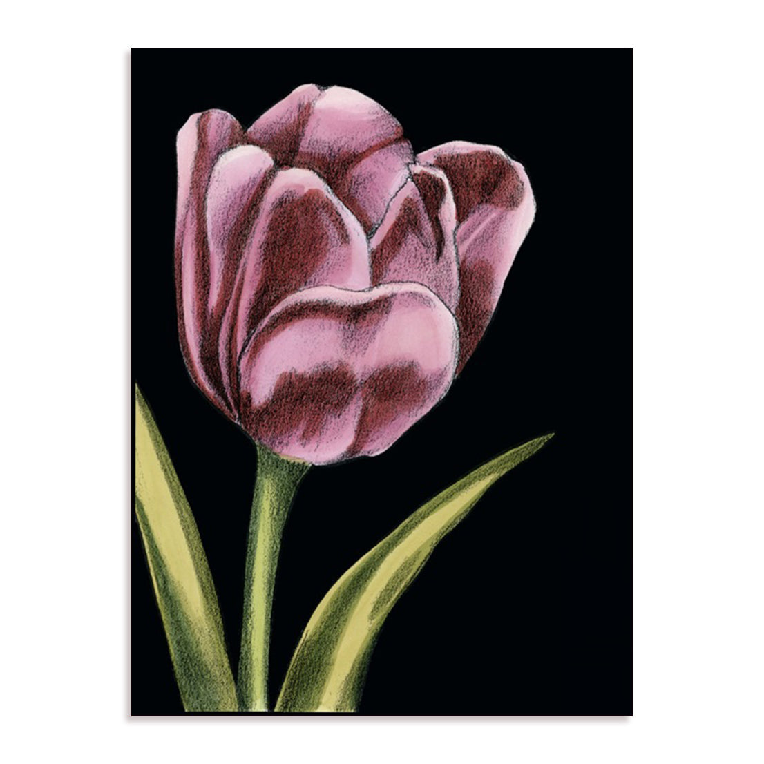 Vibrant Tulips III Wall Art