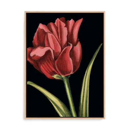 Vibrant Tulips IV Wall Art