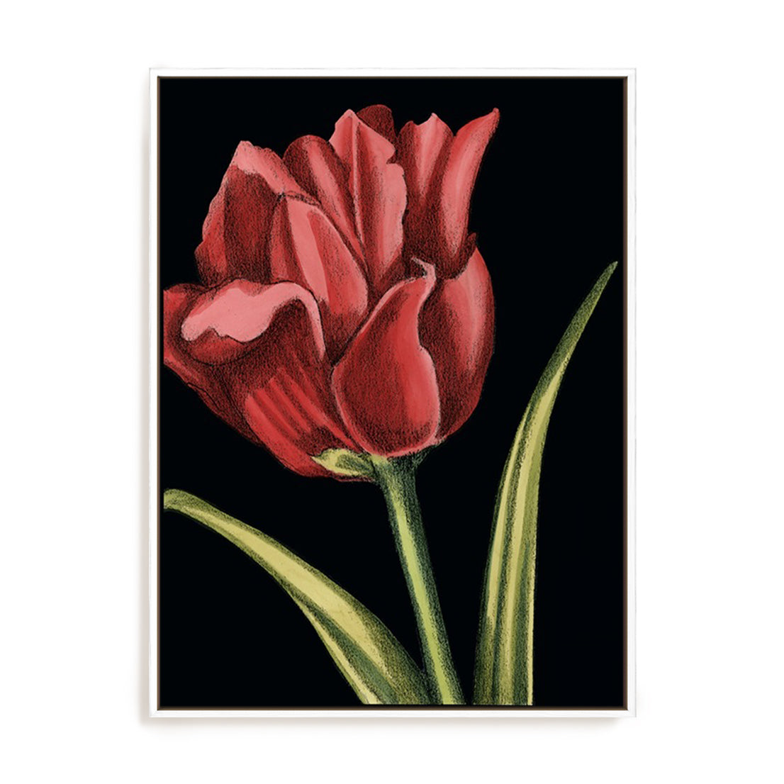 Vibrant Tulips IV Wall Art