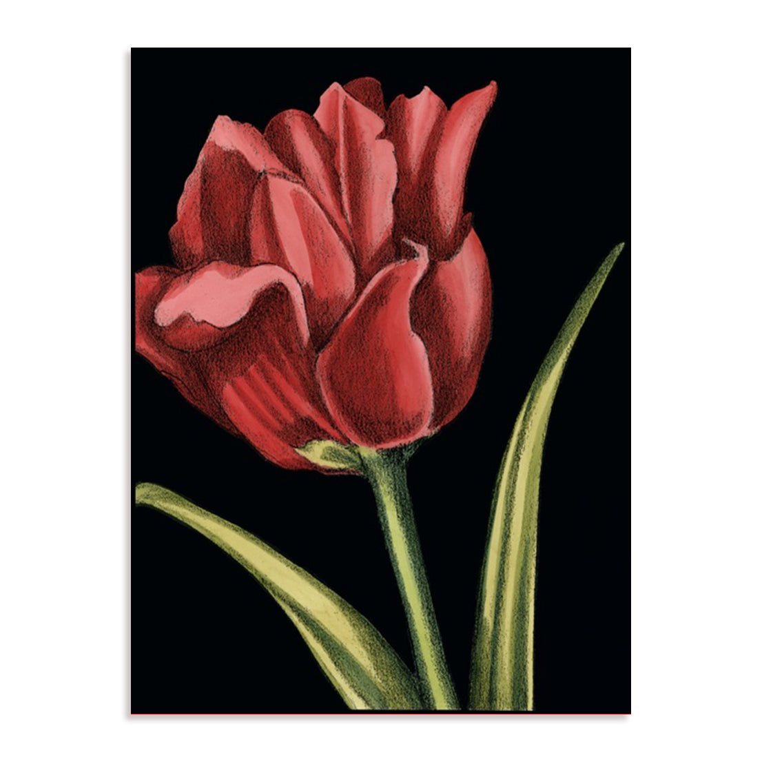 Vibrant Tulips IV Wall Art