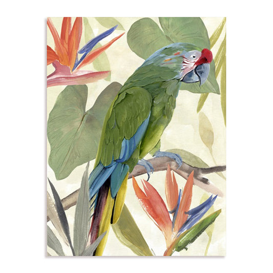 Tropical Parrot Composition I