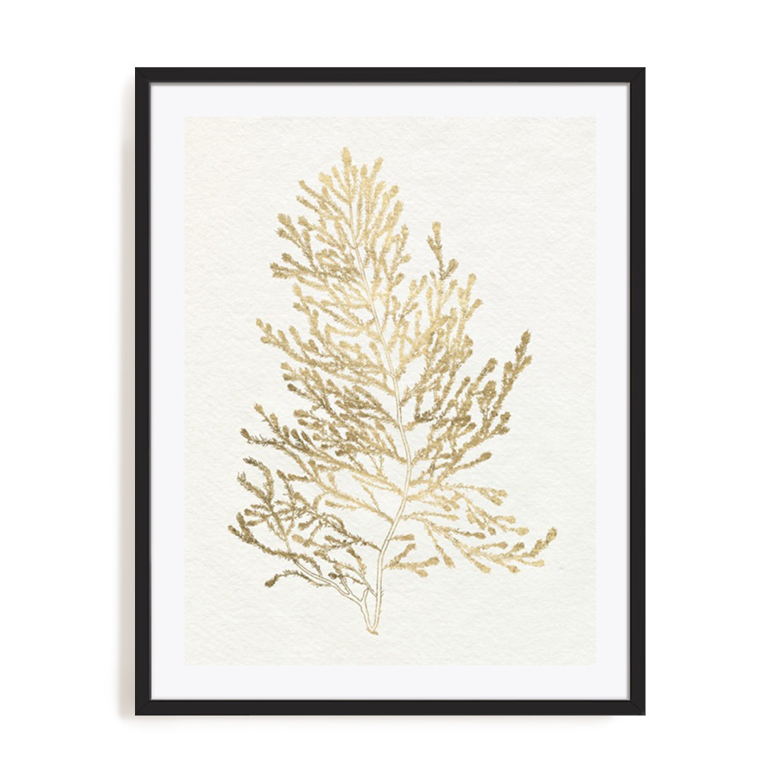 Gilded Algae IV