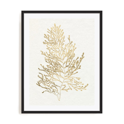 Gilded Algae IV