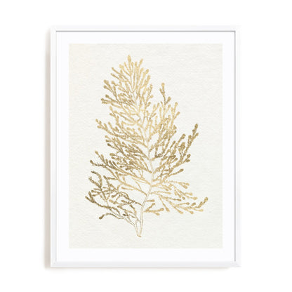 Gilded Algae IV