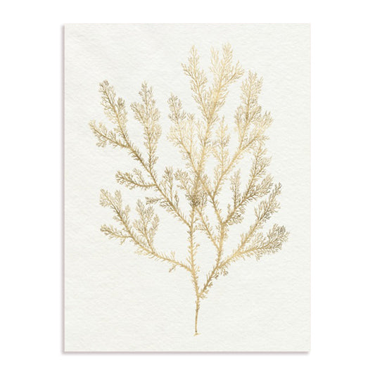 Gilded Algae VI Wall Art