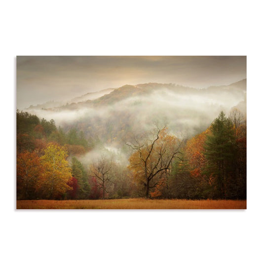 Photography Study Autumn Mist