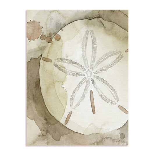 Dry Sand Dollar II Wall Art