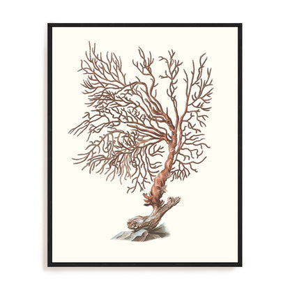 Terra Cotta Coral I Wall Art