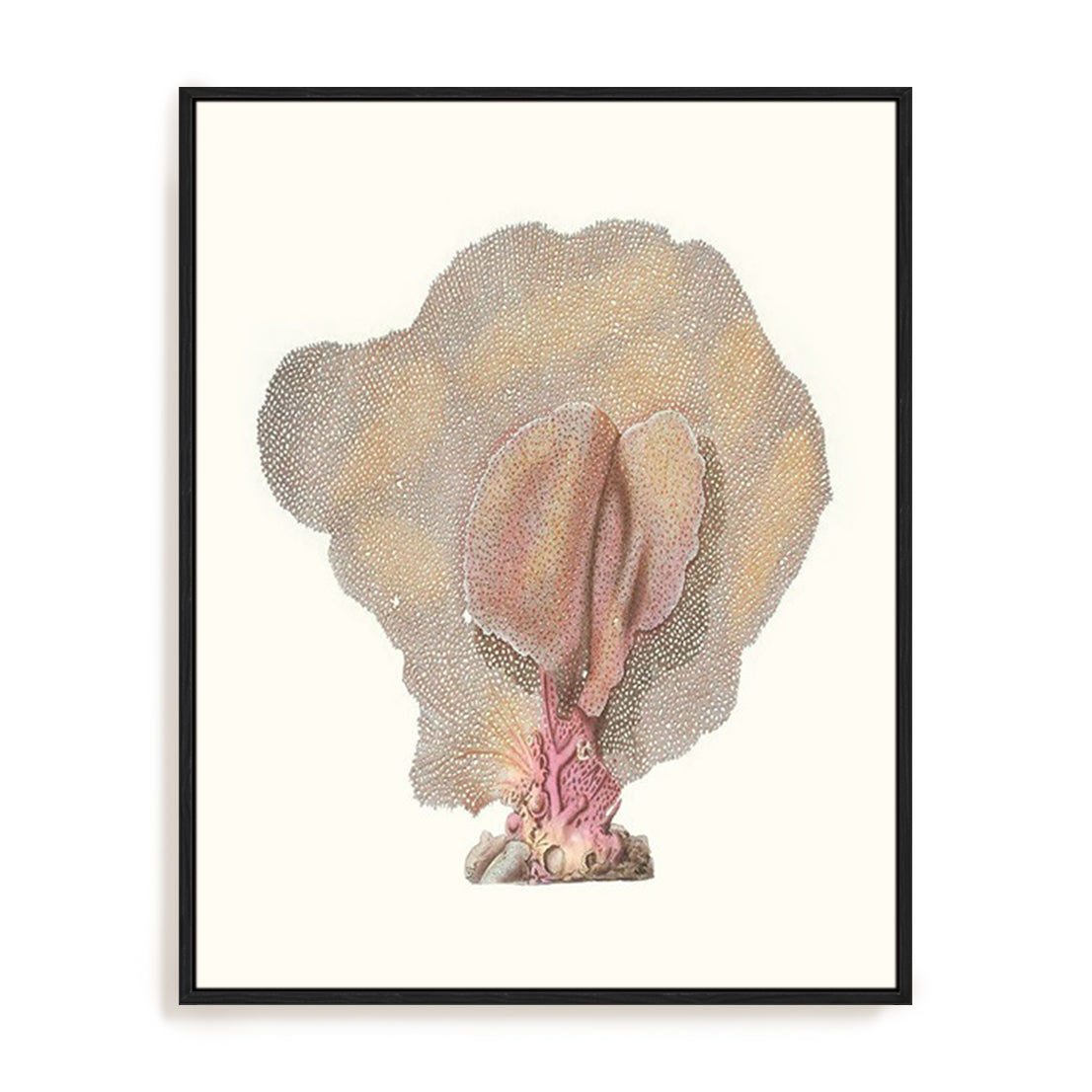 Terra Cotta Coral III Wall Art