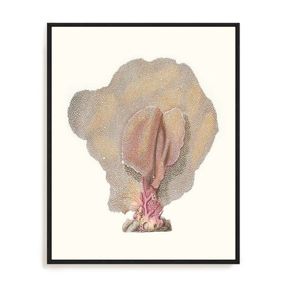 Terra Cotta Coral III Wall Art