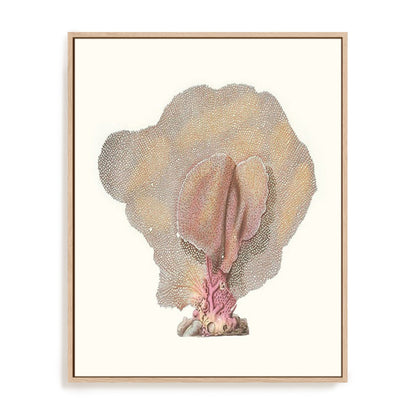 Terra Cotta Coral III Wall Art