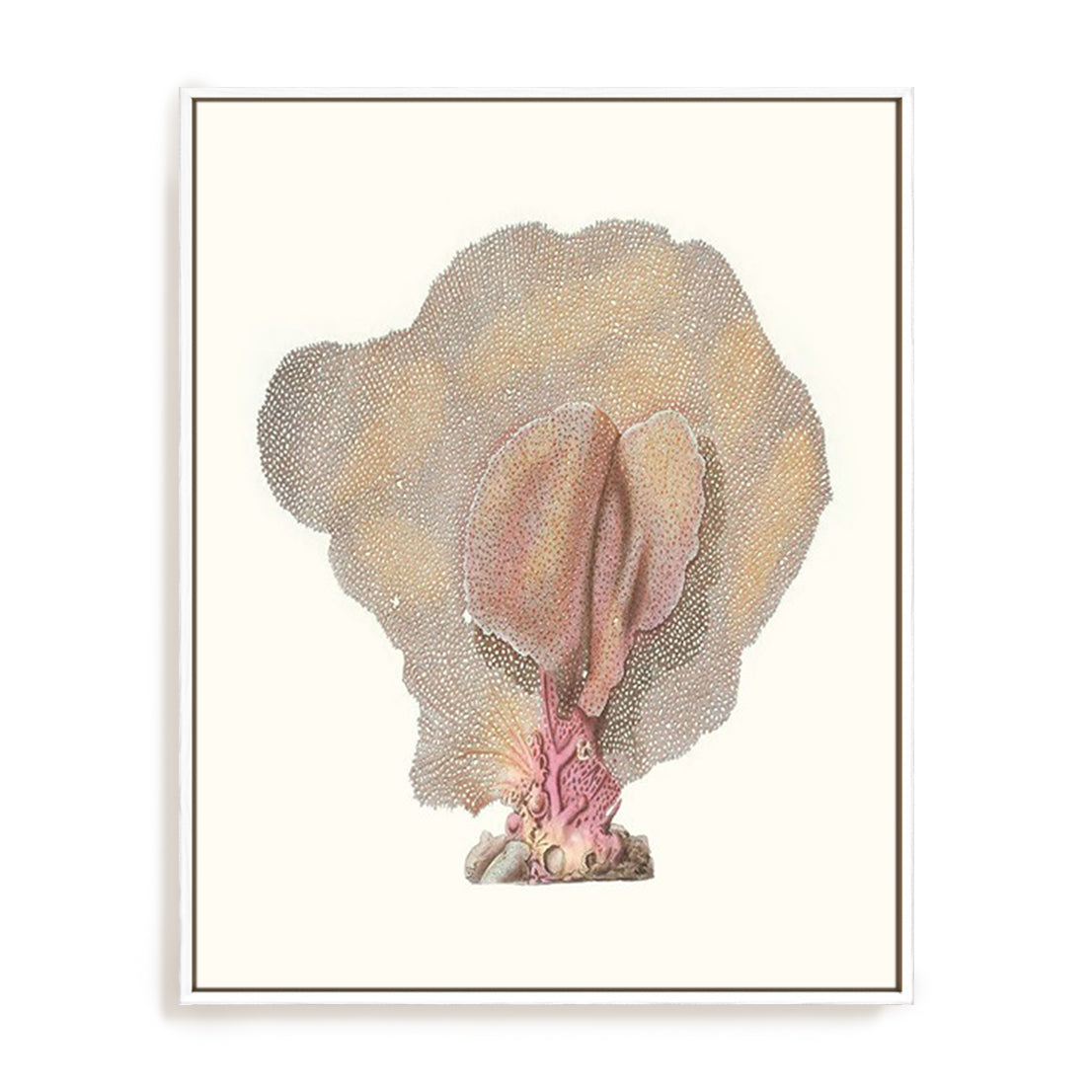 Terra Cotta Coral III Wall Art