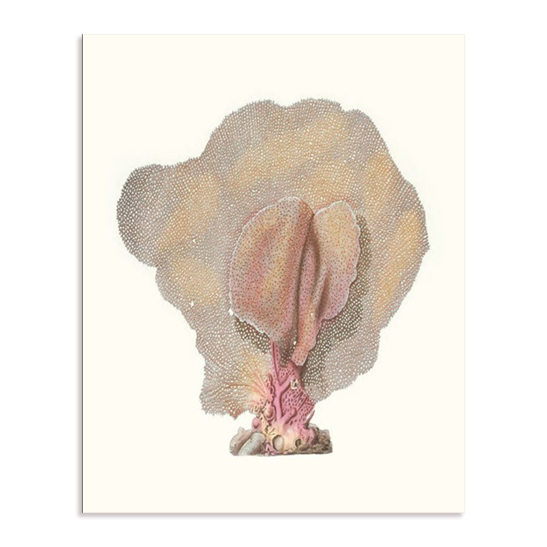 Terra Cotta Coral III Wall Art